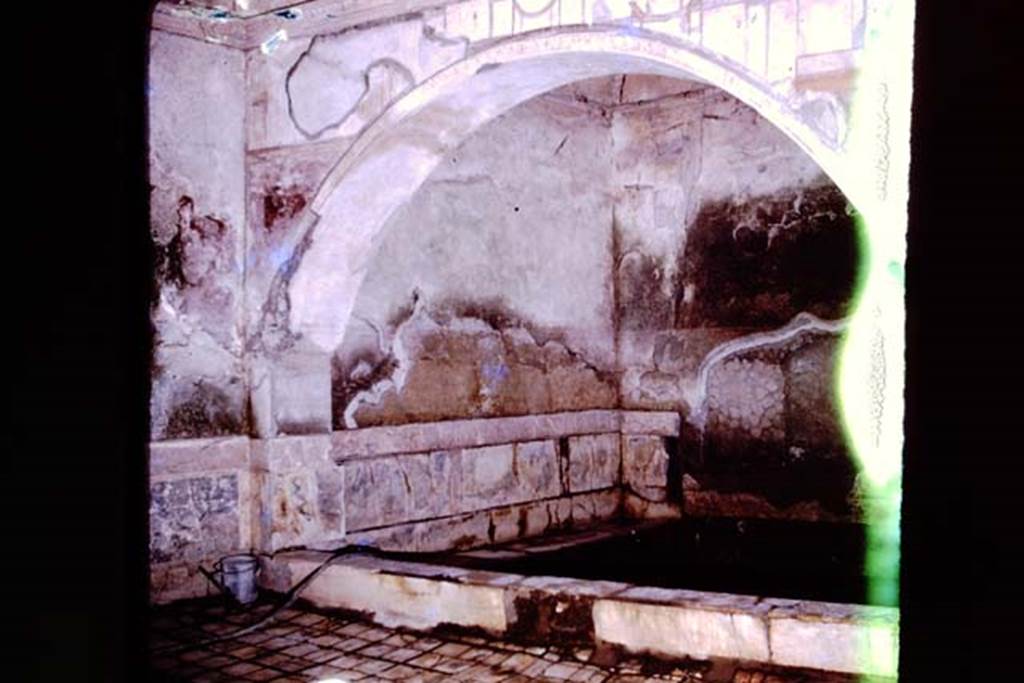 Suburban Baths, Herculaneum, 1975. Frigidarium. Photo by Stanley A. Jashemski.   
Source: The Wilhelmina and Stanley A. Jashemski archive in the University of Maryland Library, Special Collections (See collection page) and made available under the Creative Commons Attribution-Non Commercial License v.4. See Licence and use details. J75f0724